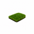 Gazon Artificial