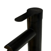Baterie Lavoar, Inox SUS304, Negru, HS/LY006 Baterii de Baie Default Title Alessandro Design