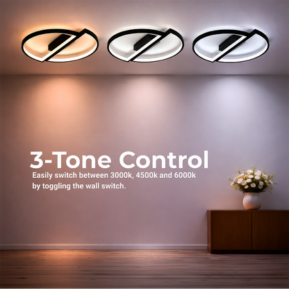 Lustra LED cu telecomanda VECTOR ARCUS 52W, 2 Elemente, lumina Rece/Calda/Neutra, Dimabila, Negru Lustre LED cu Telecomanda Default Title Alessandro Design