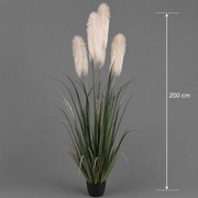Planta Artificială Iarbă Ornamentală, 200 cm, cu 4 fire, Stuf si Iarba, Verde si Gri, Fara Ghiveci