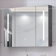 Oglinda LED cu Dulap AXEN 100x70 cm Alb Banda Verticala si Senzor Touch Oglinzi Dulap Default Title Alessandro Design