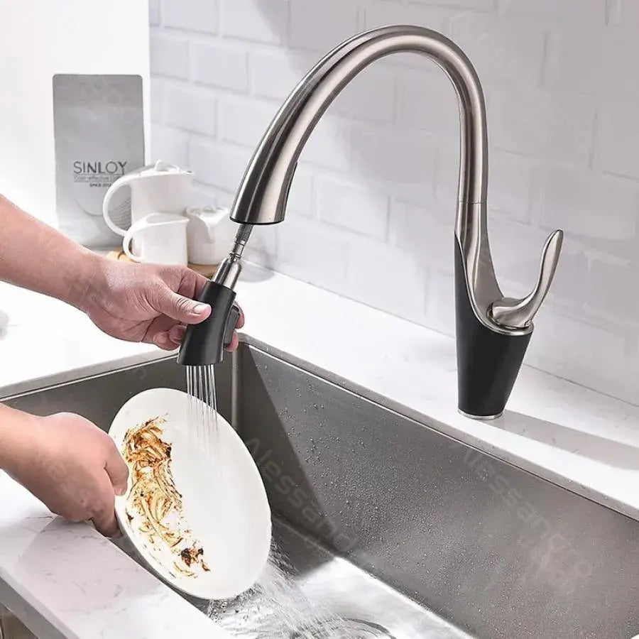 Baterie Bucatarie cu Dus Extractibil, Alama Sanitara, Crom, W058 Baterii de Bucatarie Default Title Alessandro Design